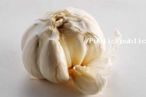 蒜头烘干工艺