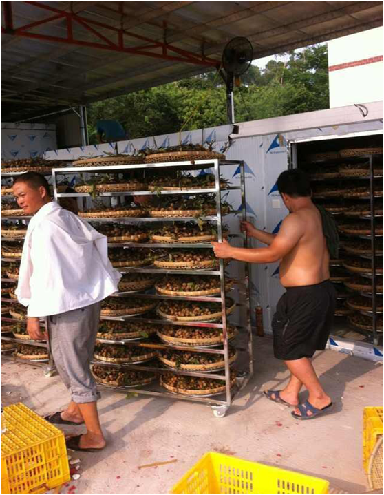 微信图片_20200622104951.png