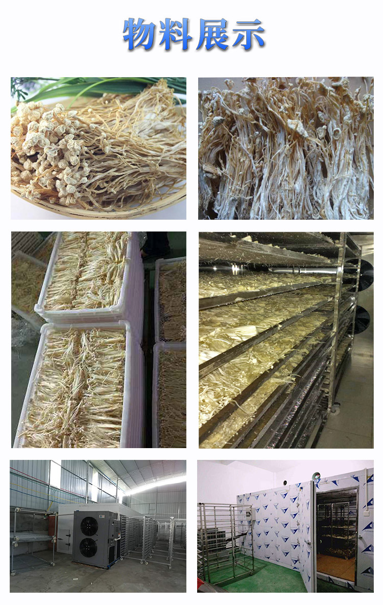 金针菇 (6).jpg